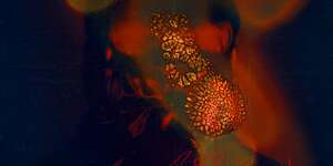 ZORO (feat. Zoro Jackson)