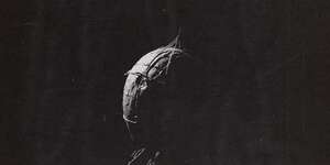 Up Like A Weather Balloon