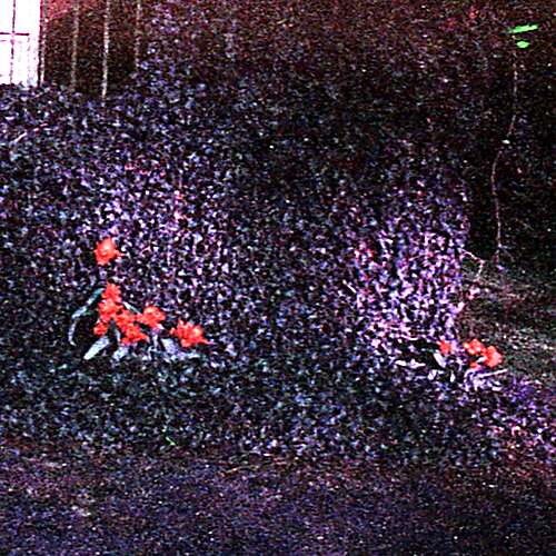 Saturday After Payday/Absence is a Heady Spice