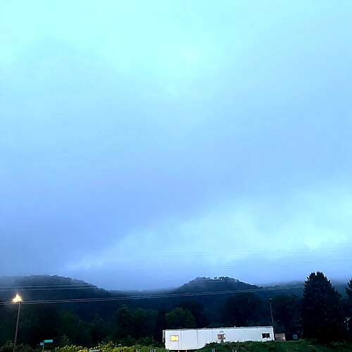 A Farm Cat Watches From The Edge Of The Highway