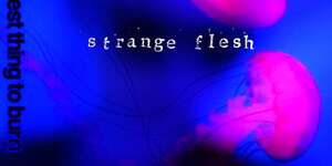 The Hardest Thing to Burn Is the Heart