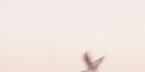 Wake Up (Ft Jun Miyake)