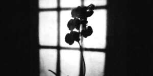 Evergreen (Stripped - Live at Middle Farm)