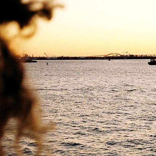 Curly Hair (Ft Douglas Dare) 