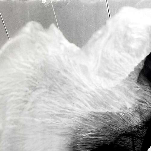 follow your direction