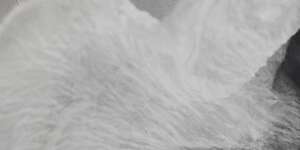 follow your direction