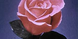 In the Middle of the Night