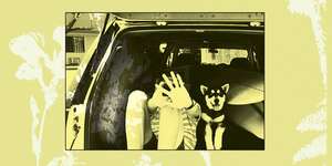 Moonlight Concessions