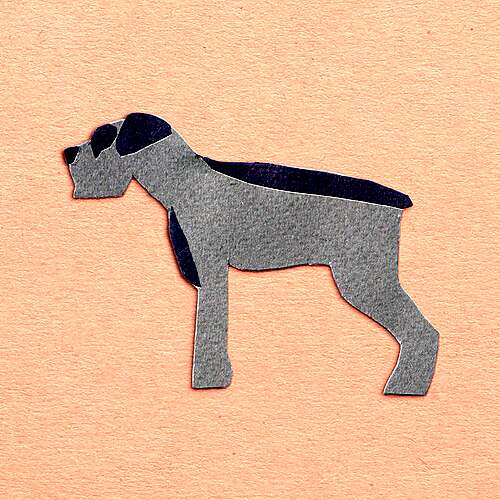 Nothing Embarrassing