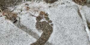 The Idiot / The Car Knows the Way