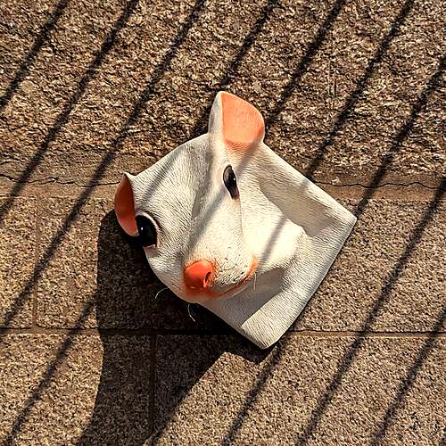 Mice in Jeans (Remixes)