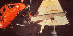 Moths Strapped To Each Other's Backs