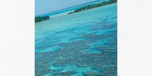 Flying Away With You