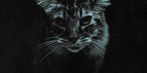 too scared to explain