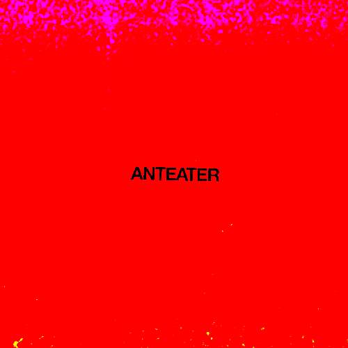 Anteater