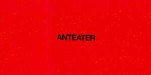 Anteater