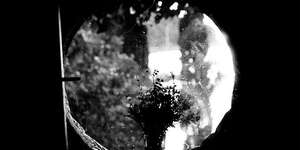 The Wind (Blew You Away)