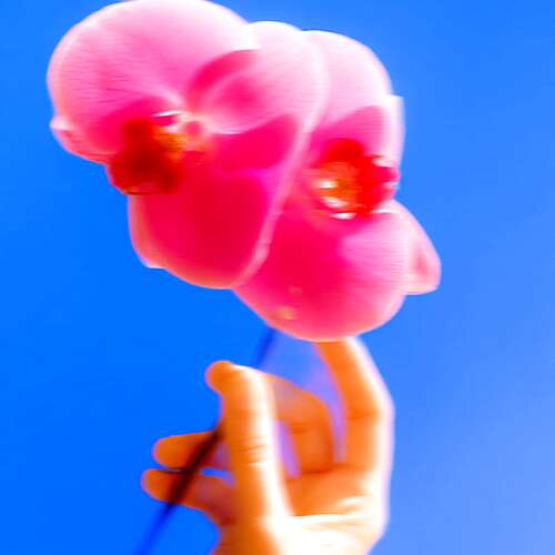 i couldn't hold back