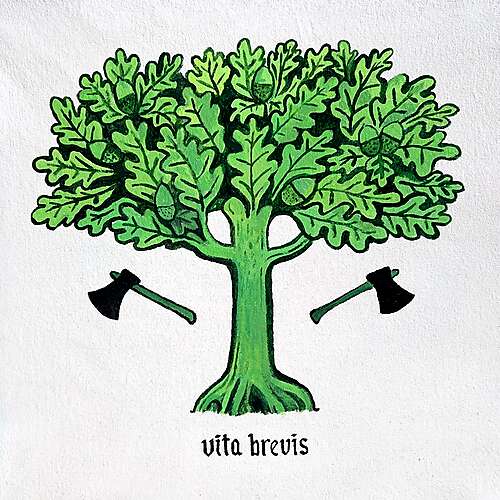 Vita Brevis