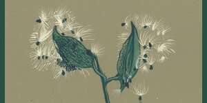 Song Of The Earth - Instrumentals