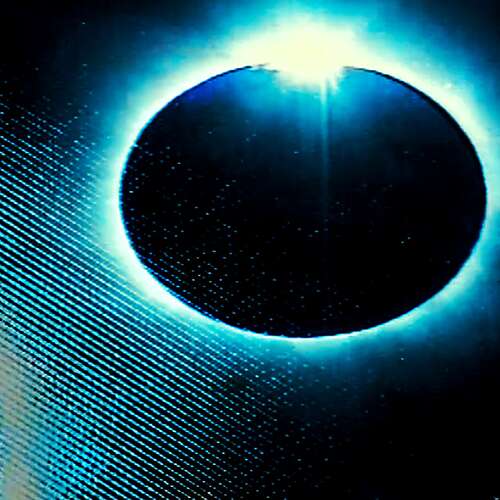 Shadows (Jet Black Version)