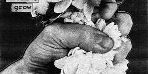 When A Flower Doesn't Grow