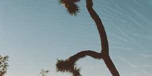 Is There Any More To This?