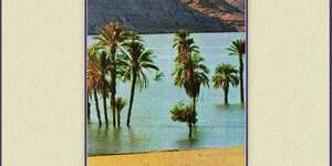 Princess Queen Lover