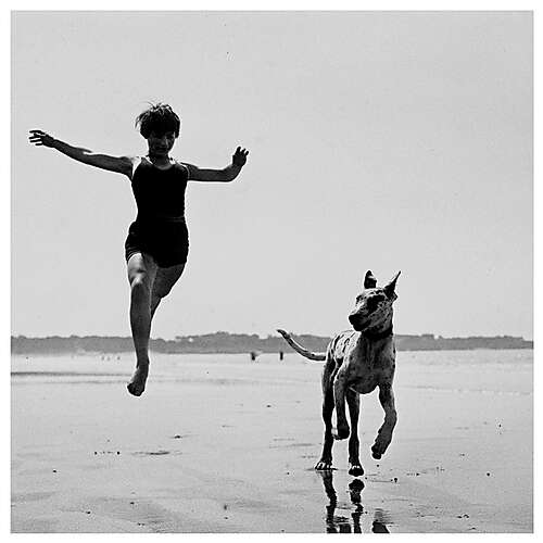 Heart Of A Hummingbird