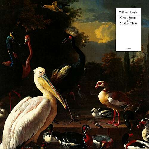 Great Spans of Muddy Time