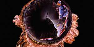 Irrational Ham Gobbler