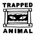 Trapped Animal