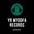 Yr Wyddfa Records Snowdonia