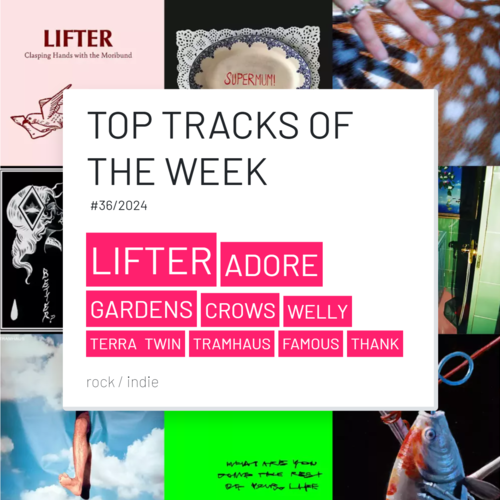 Top Tracks Of The Week #36/2024