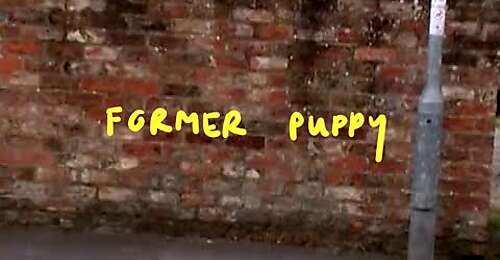  Former Puppy (official video)